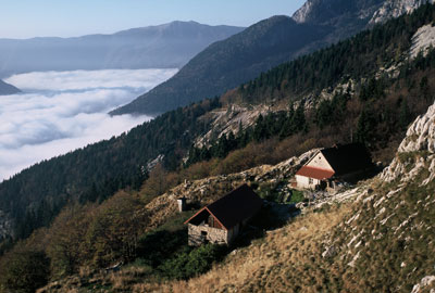 Ostanki planine Krnica Foto: Matija Turk